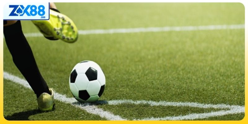 Tìm hiểu phương pháp tham gia để tối ưu chiến lược